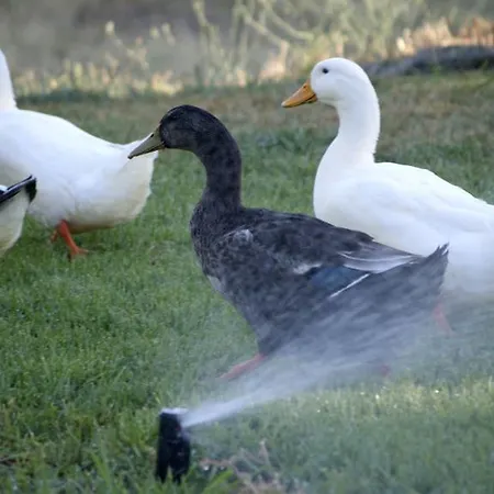 La Casona De Valfrio- Adults Only