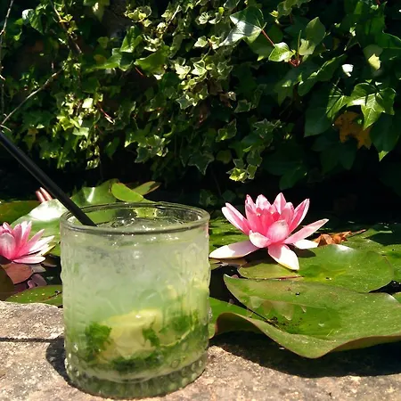 La Casona De Valfrio- Adults Only Venkovský dům *