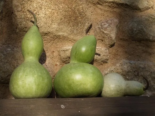 La Casona De Valfrio- Adults Only *