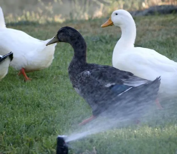 La Casona De Valfrio- Adults Only